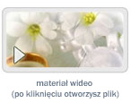 wideofilmowanie, filmowanie, Łódź